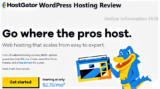 Hostgator WordPress Hosting Review With 7 Simple Hostgator Pro and Cons